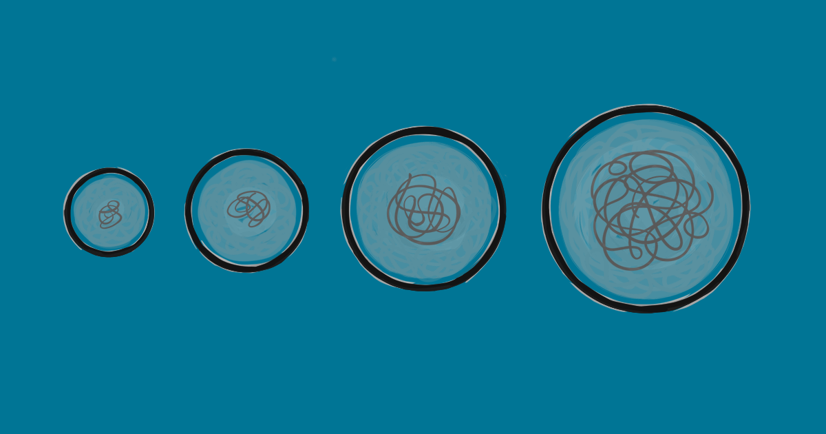 Zygote, embryo, blastocyst and foetus (scribbles)